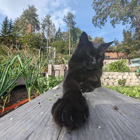 Die Labsalerie - Urlauben Am Woerthersee Pörtschach am Wörthersee Eksteriør billede